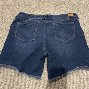 Sofia Women's Denim Shorts
